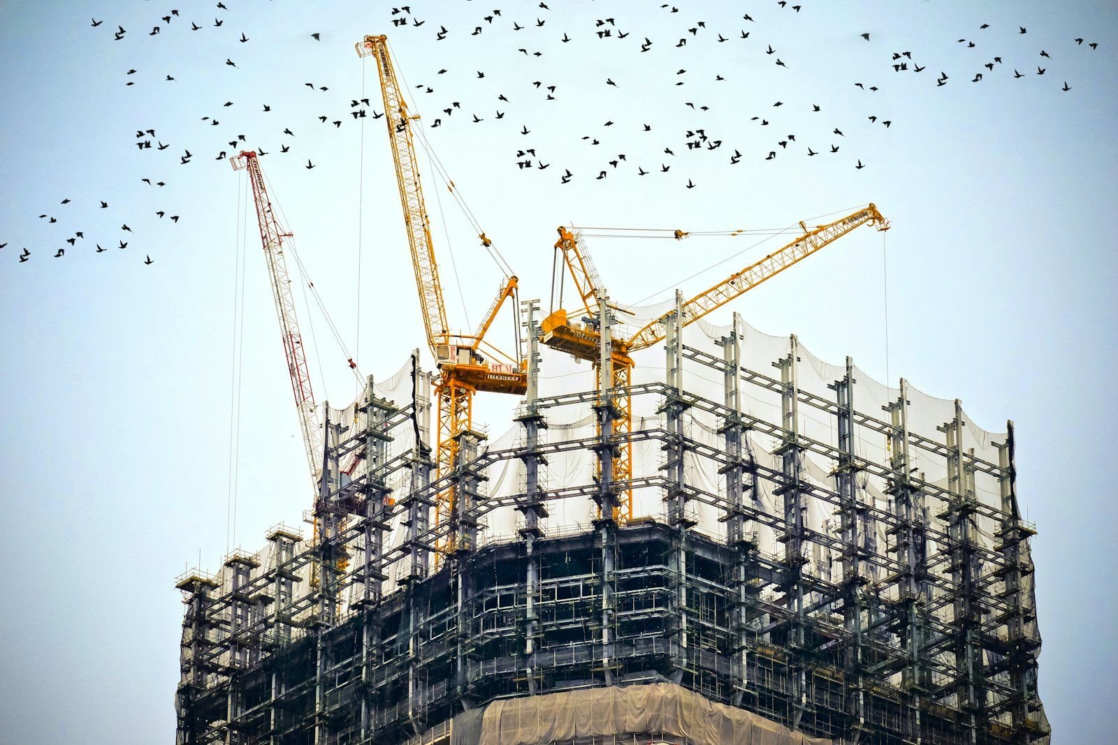Grues au-dessus d’un ouvrage en structure